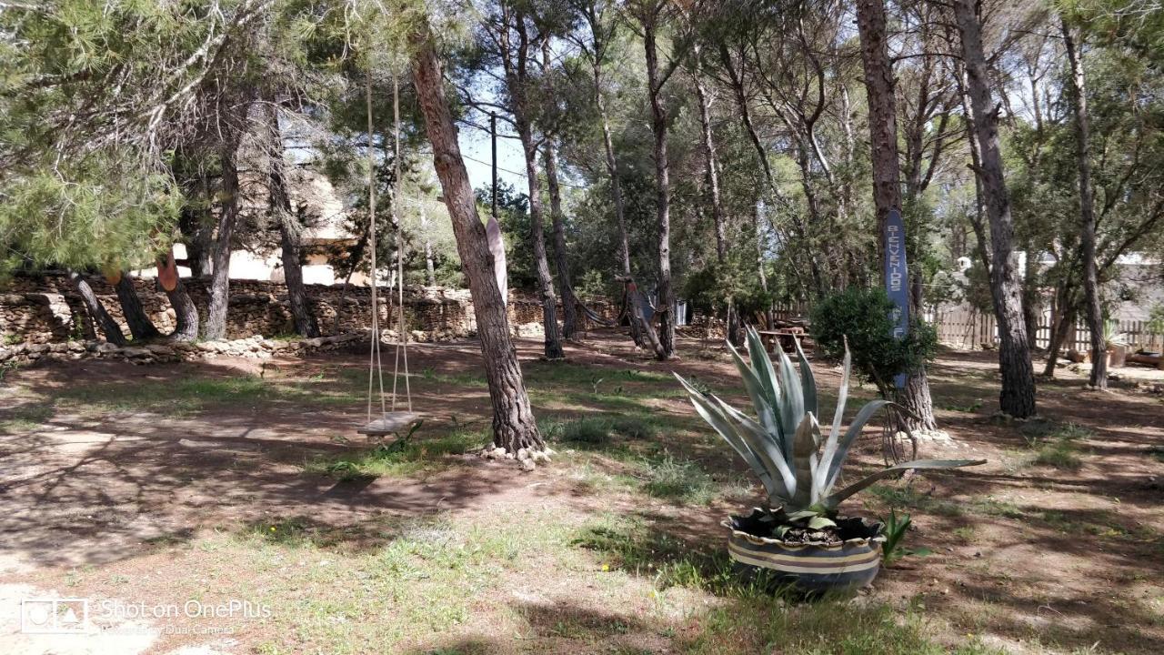 Casa Beja Villa San Francisco Javier Buitenkant foto